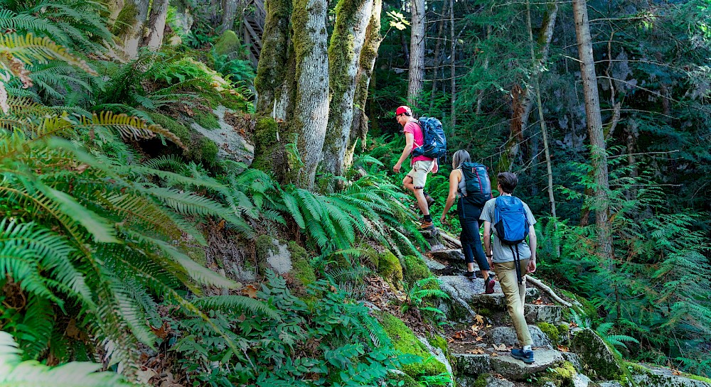 Hiking in Squamish