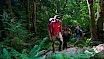 Hiking in the Squamish Rainforest
