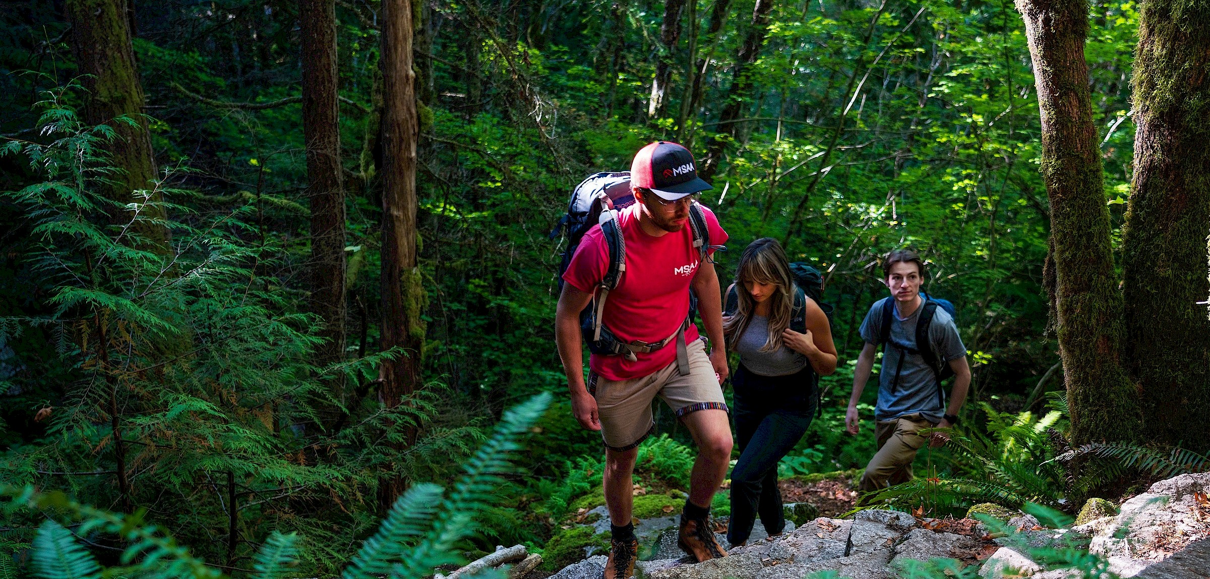 Hiking in the Squamish Rainforest