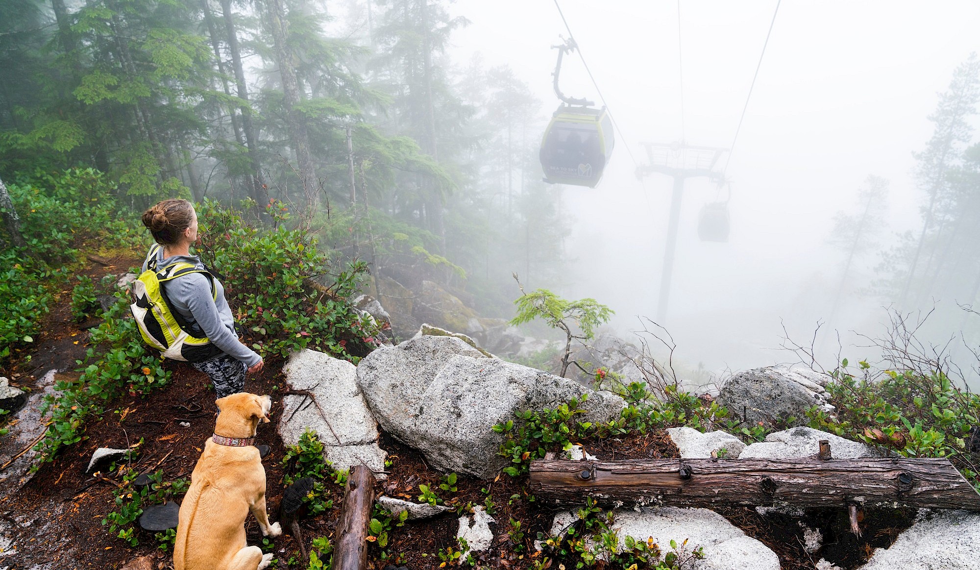 Hiking the Sea to Sky Gondola Trail