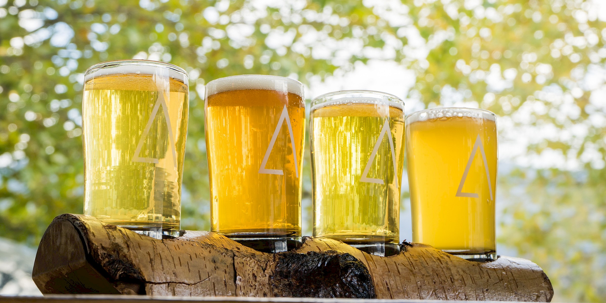 A-Frame brewing flight of beer