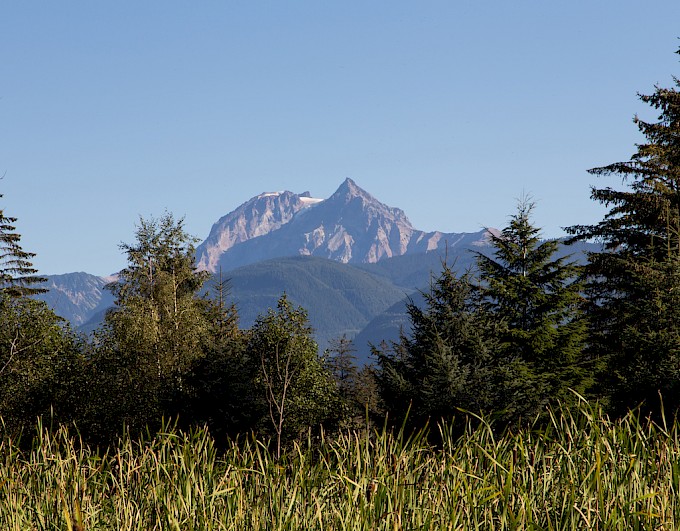 View of Garibaldi Mountain from the Squamish Estuary
