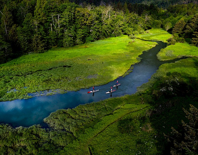 Stand up Paddler boarders in the Squamish Estuary