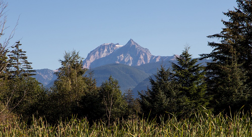 View of Garibaldi from the Squamish Estuary