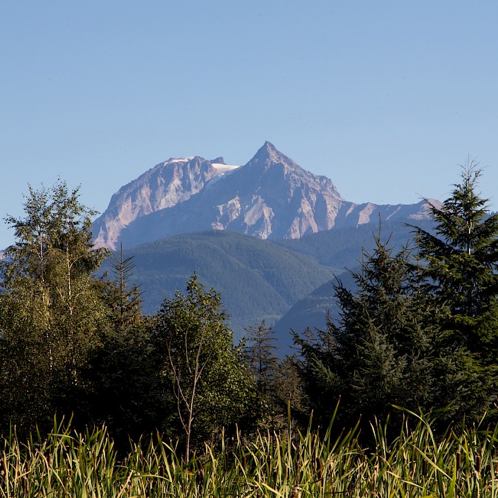 View of Garibaldi from the Squamish Estuary