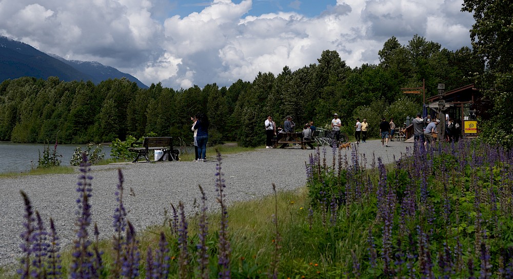 People enjoying the wildflowers and view from the Eagle Run Dike in Squamish