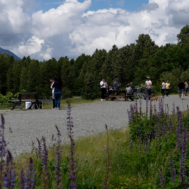 People enjoying the wildflowers and view from the Eagle Run Dike in Squamish