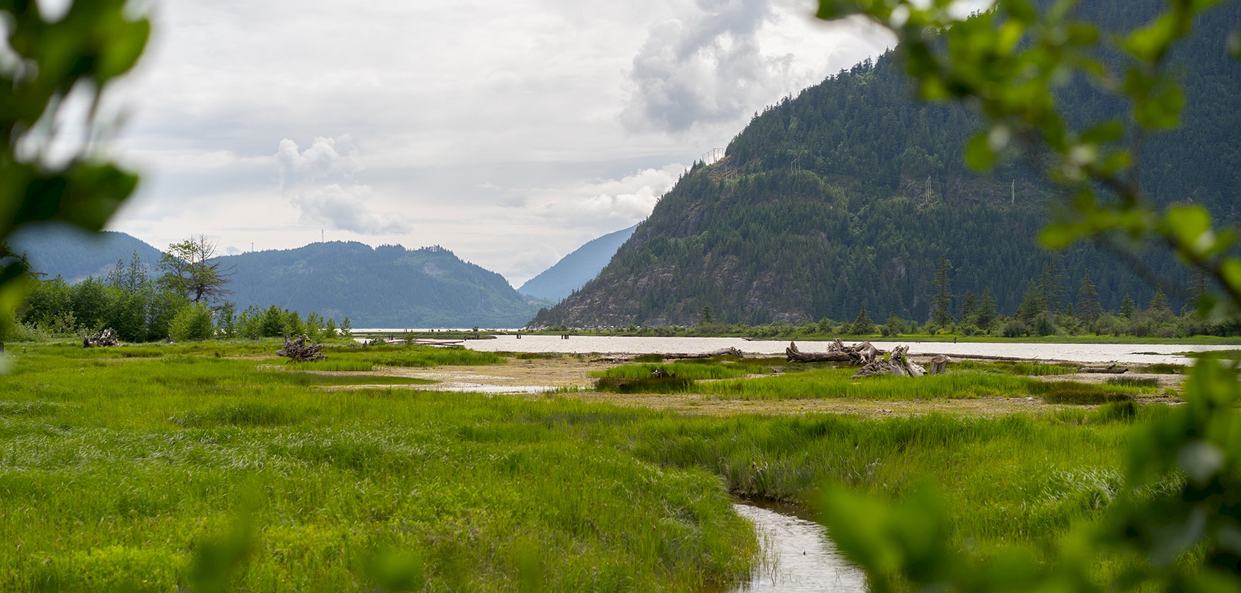 Squamish Estuary | Tourism Squamish