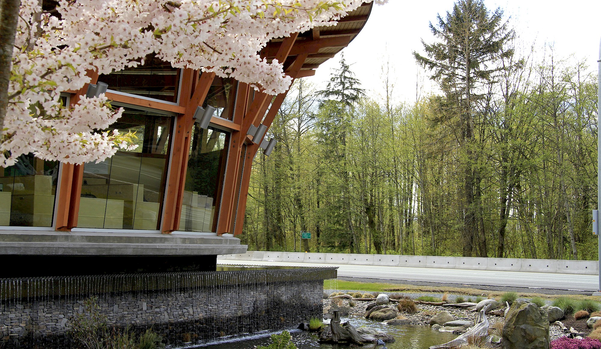 Adventure Centre with spring cherry blossoms