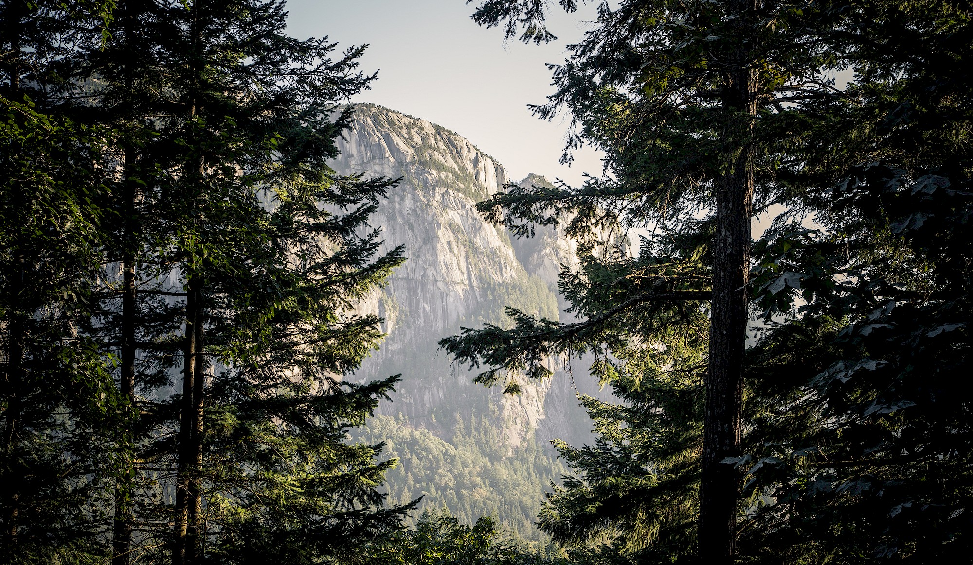 Peek-a-boo view of the Stawamus Chief through trees