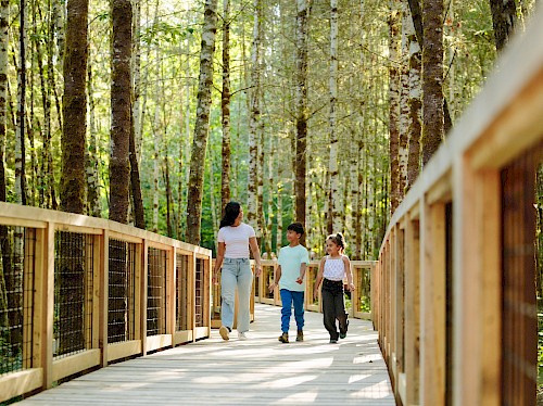 Squamish Canyon