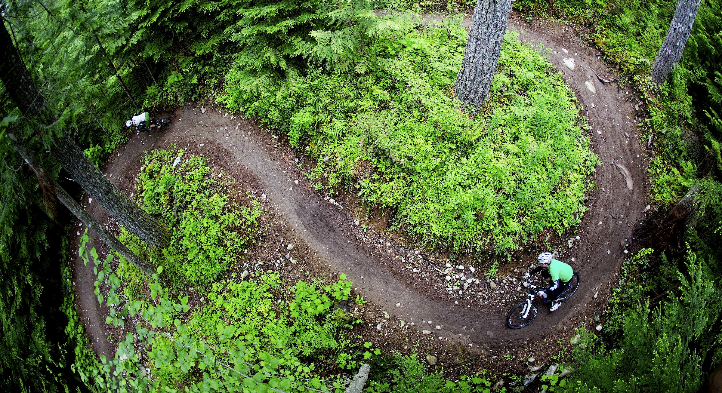 Two mountain bikers riding in the forest in Squamish