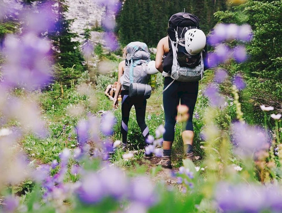 View of women hiking through wildflowers
