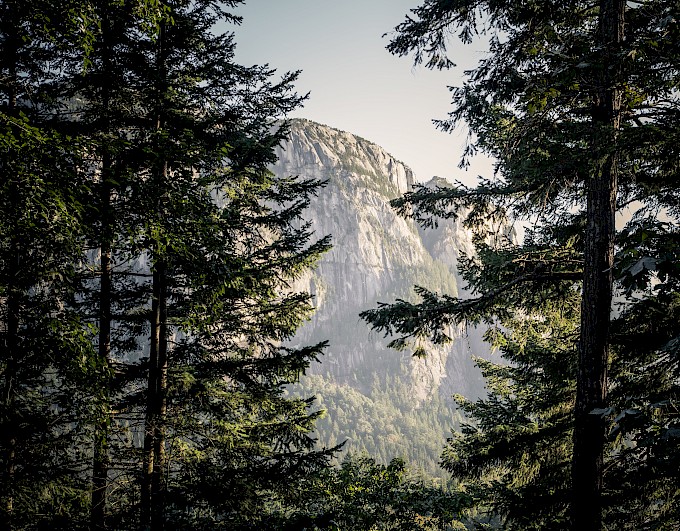 Stawamus Chief in sunlight with forest