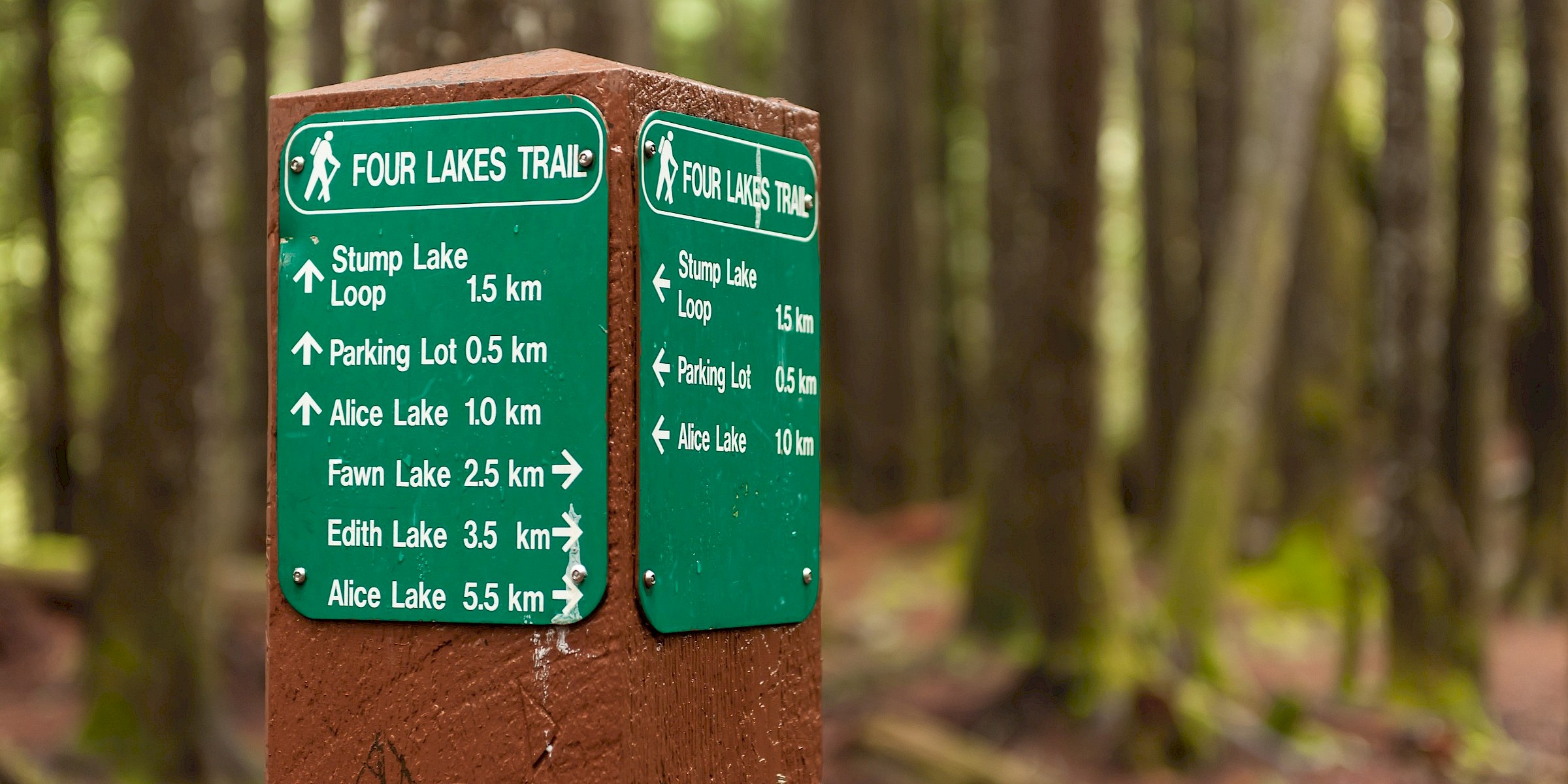 Trail sign post at Alice Lake