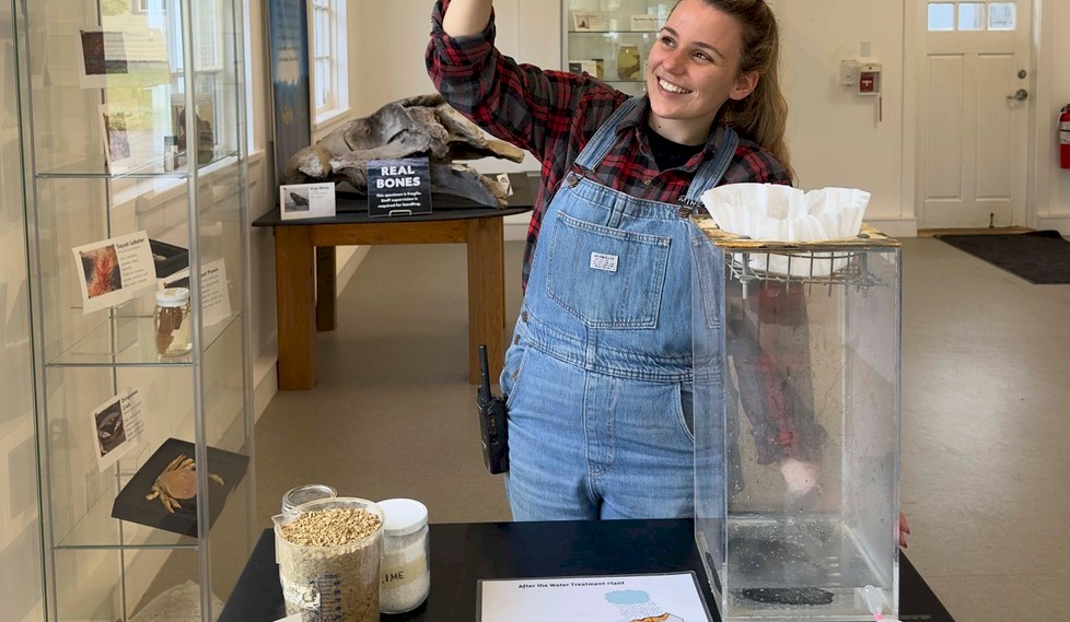Terra Lab 'Chemistry of Clean Up'
