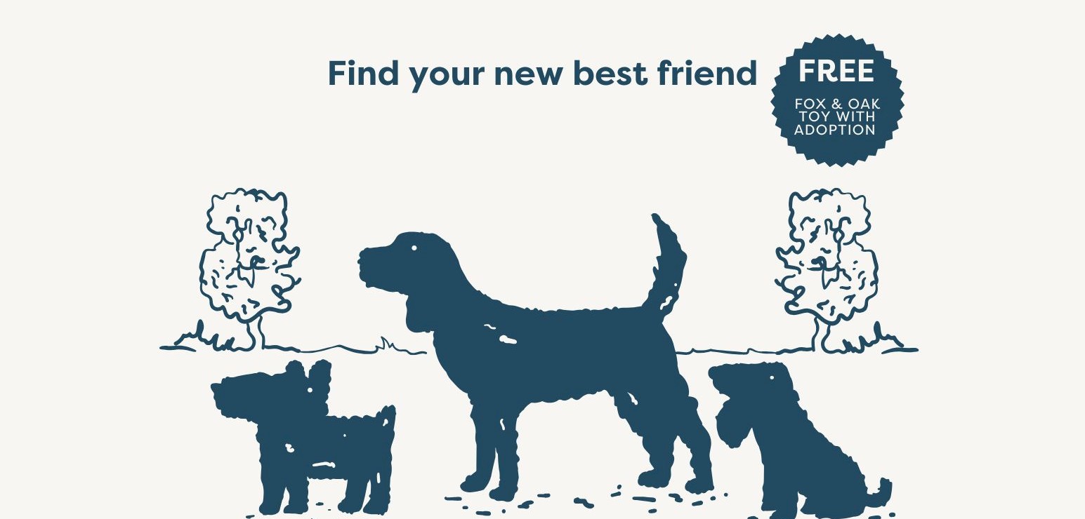 Adoption Event