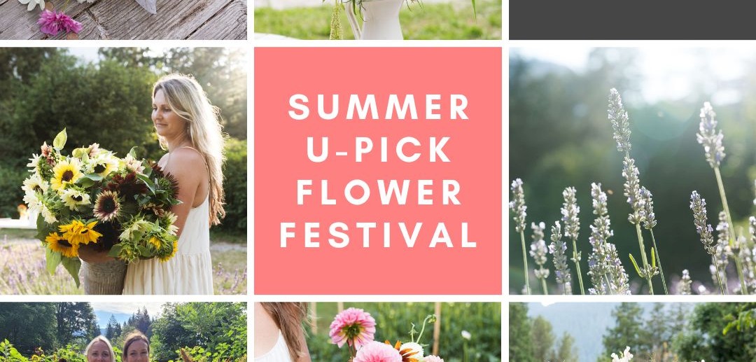 U-Pick Flower Festival
