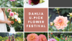 U-Pick Flower Festival