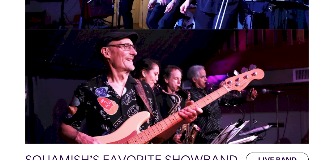 Bluesberry Jam Showband
