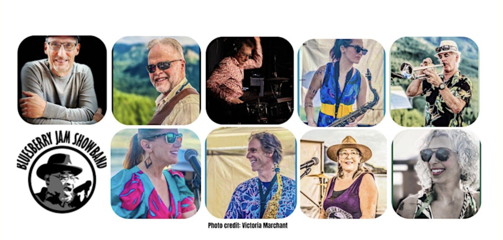 Bluesberry Jam Showband