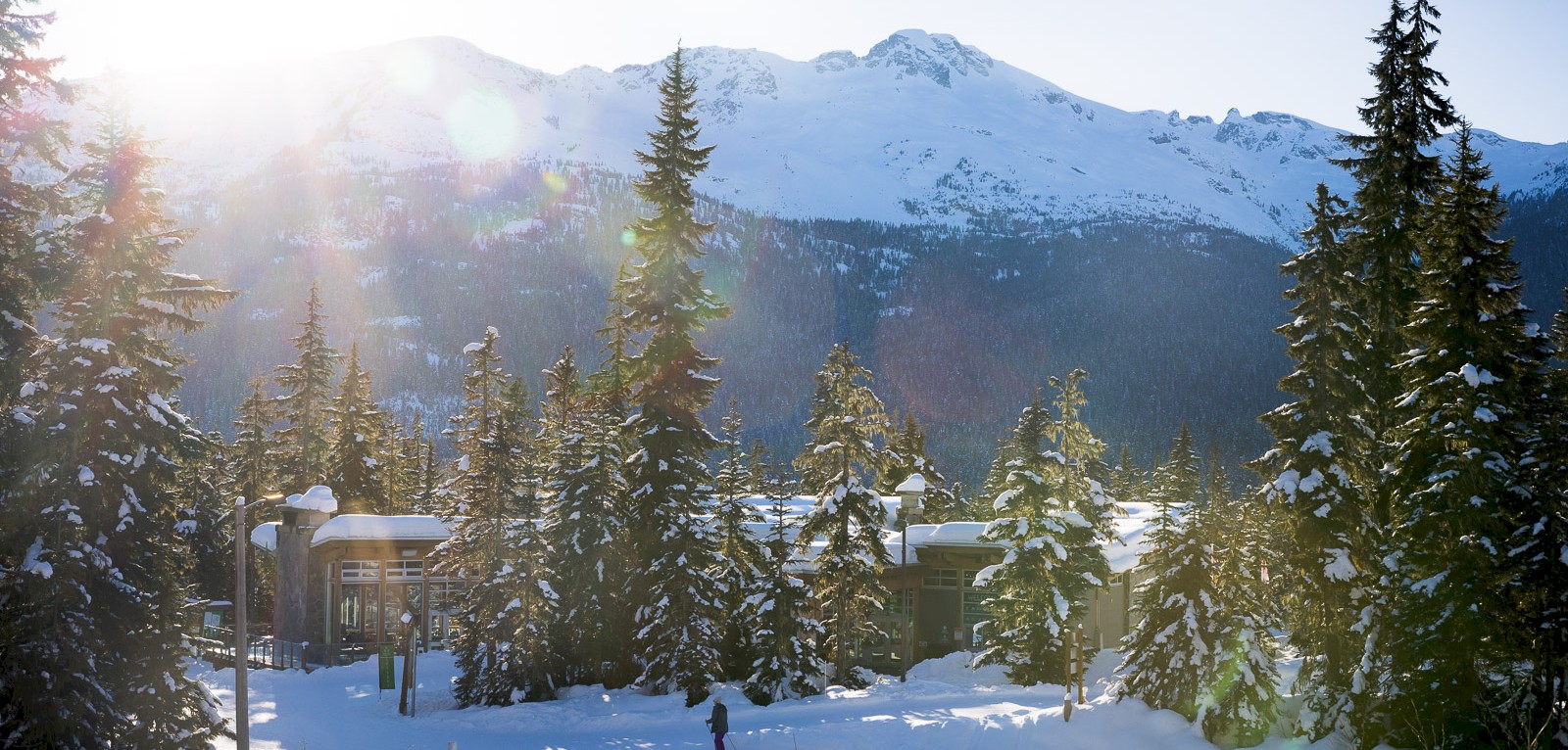 ⭐Whistler Olympic Park Toonie Race / Santa Shuffle!