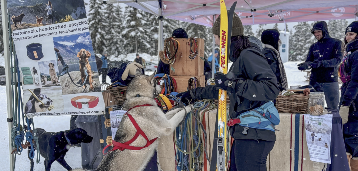 Dog Day WAG Fundraiser at Whistler Olympic Park