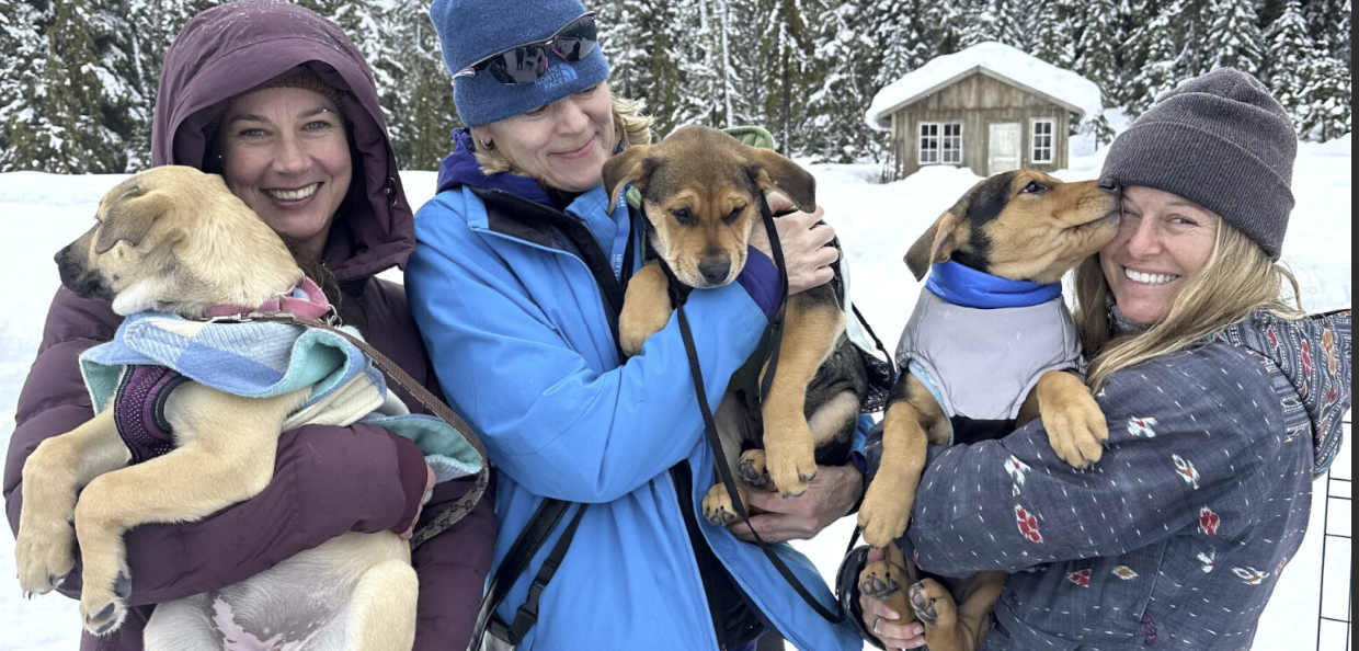 Dog Day WAG Fundraiser at Whistler Olympic Park