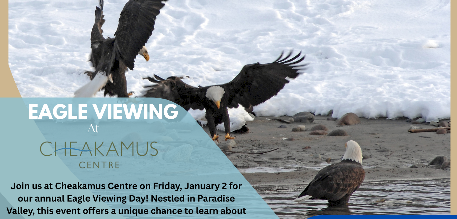 Cheakamus Centre Winter Eagle Viewing
