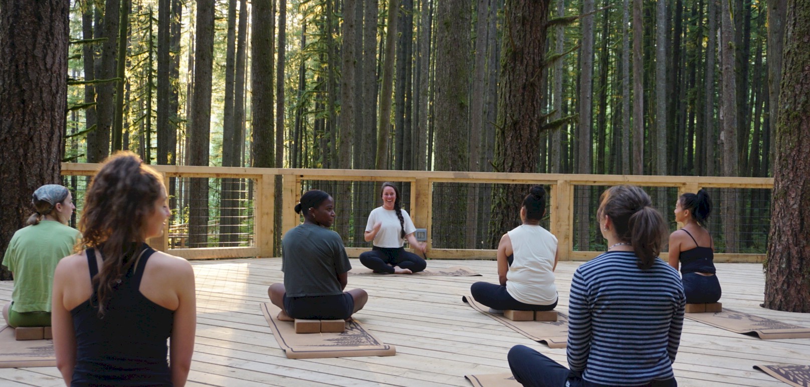 Forest Flow Yoga