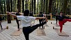 Forest Flow Yoga