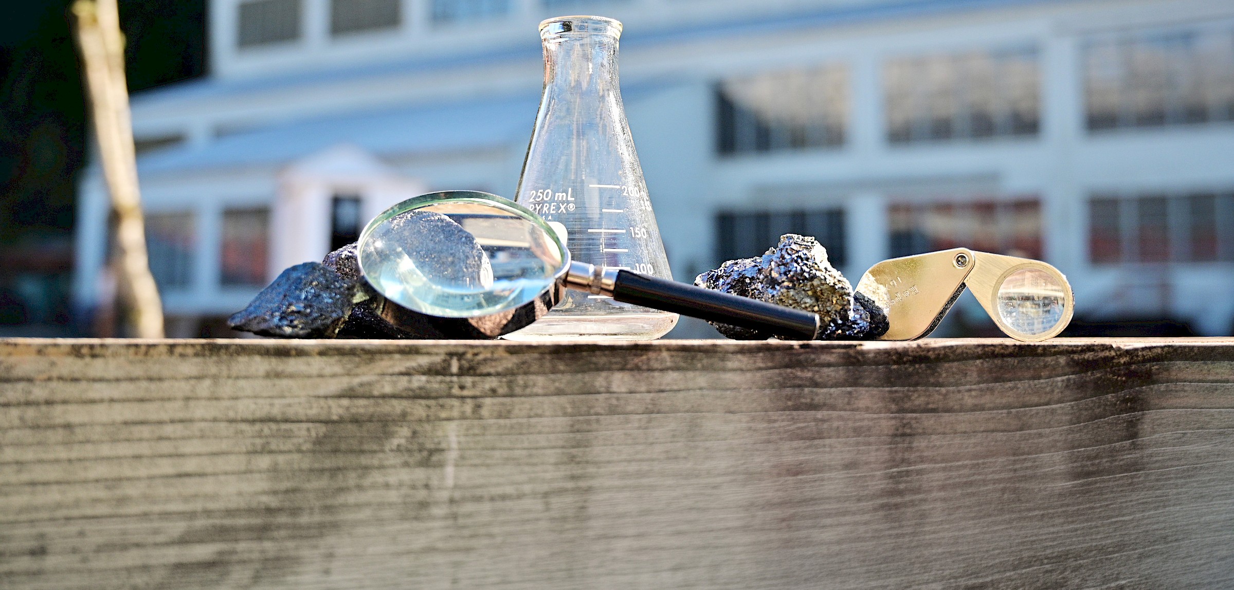 Spring Break Programming