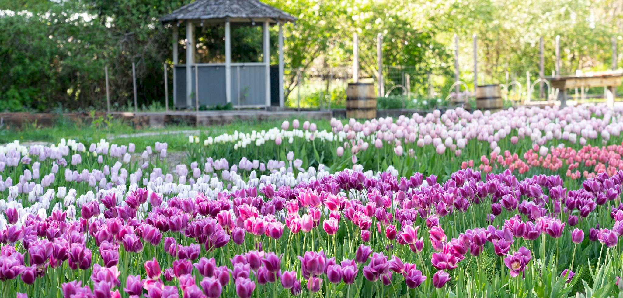 Mother's Day Garden Party