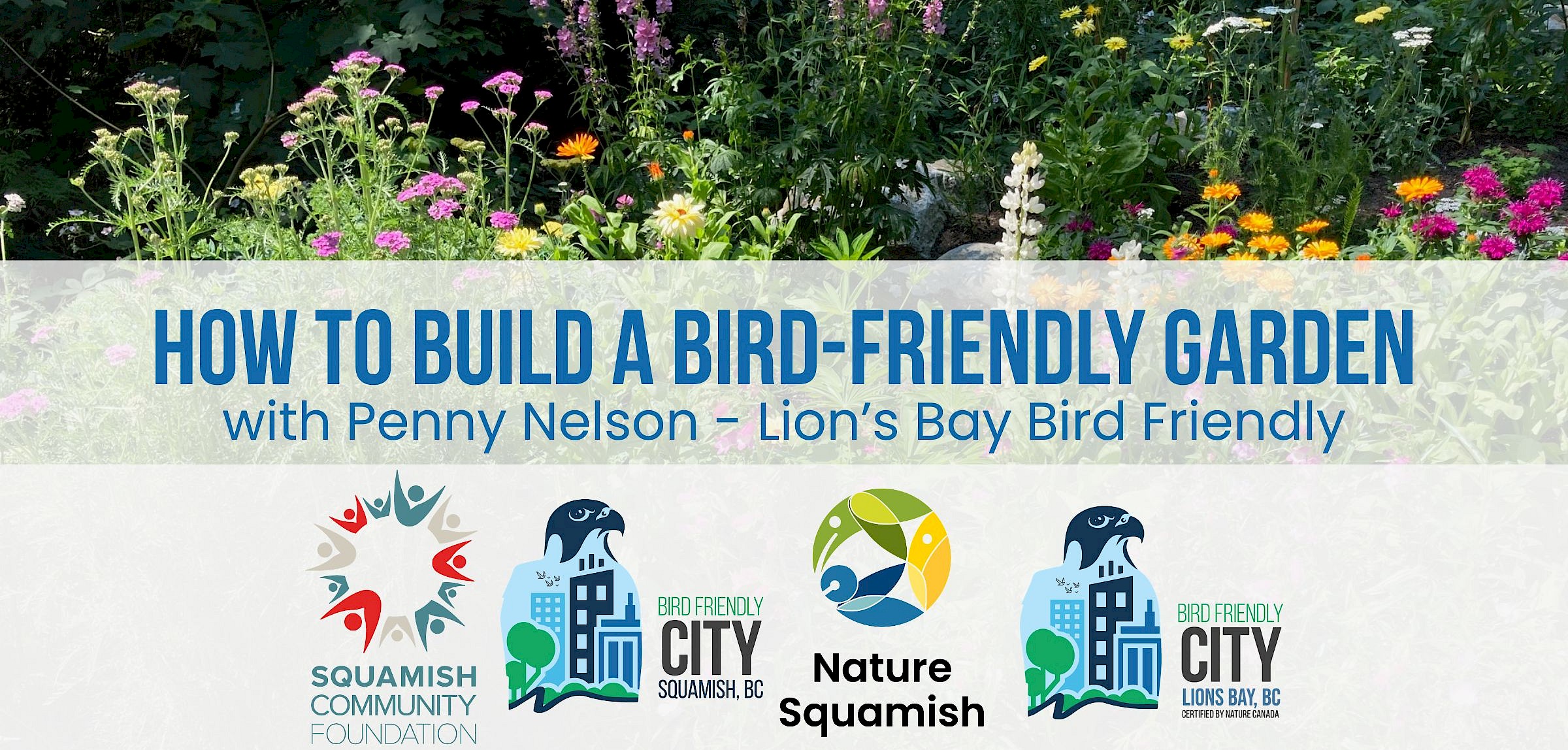 How to Build a Bird-Friendly Garden