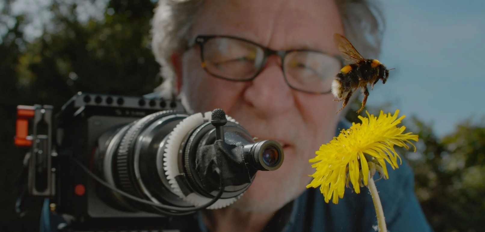 Film Screening: My Garden of a Thousand Bees