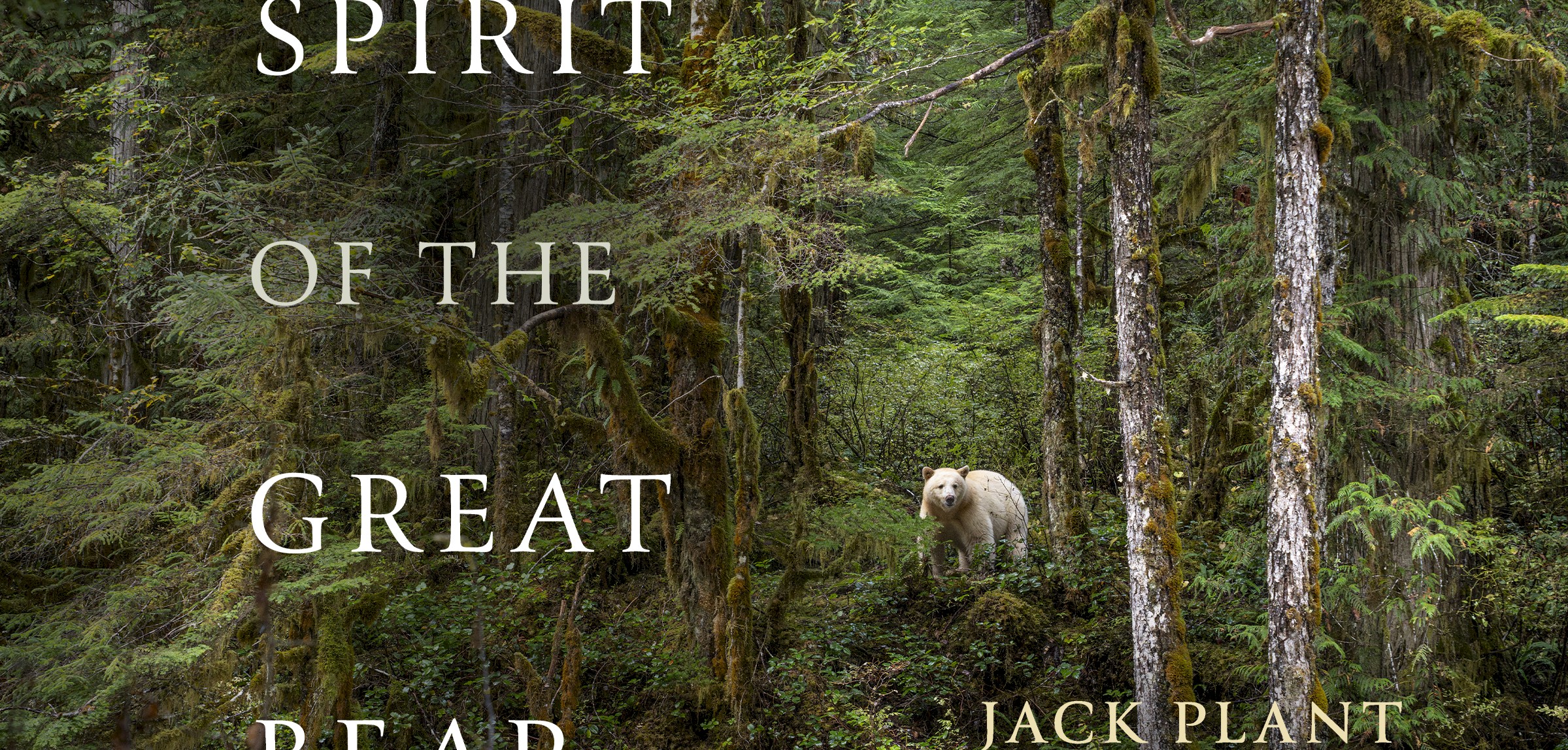Spirit of the Great Bear  Exhibition and Book Signing with Jack Plant