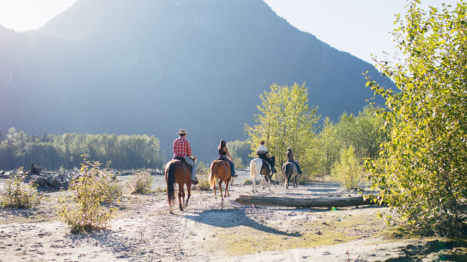 Horseback riding