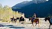 Horseback riding