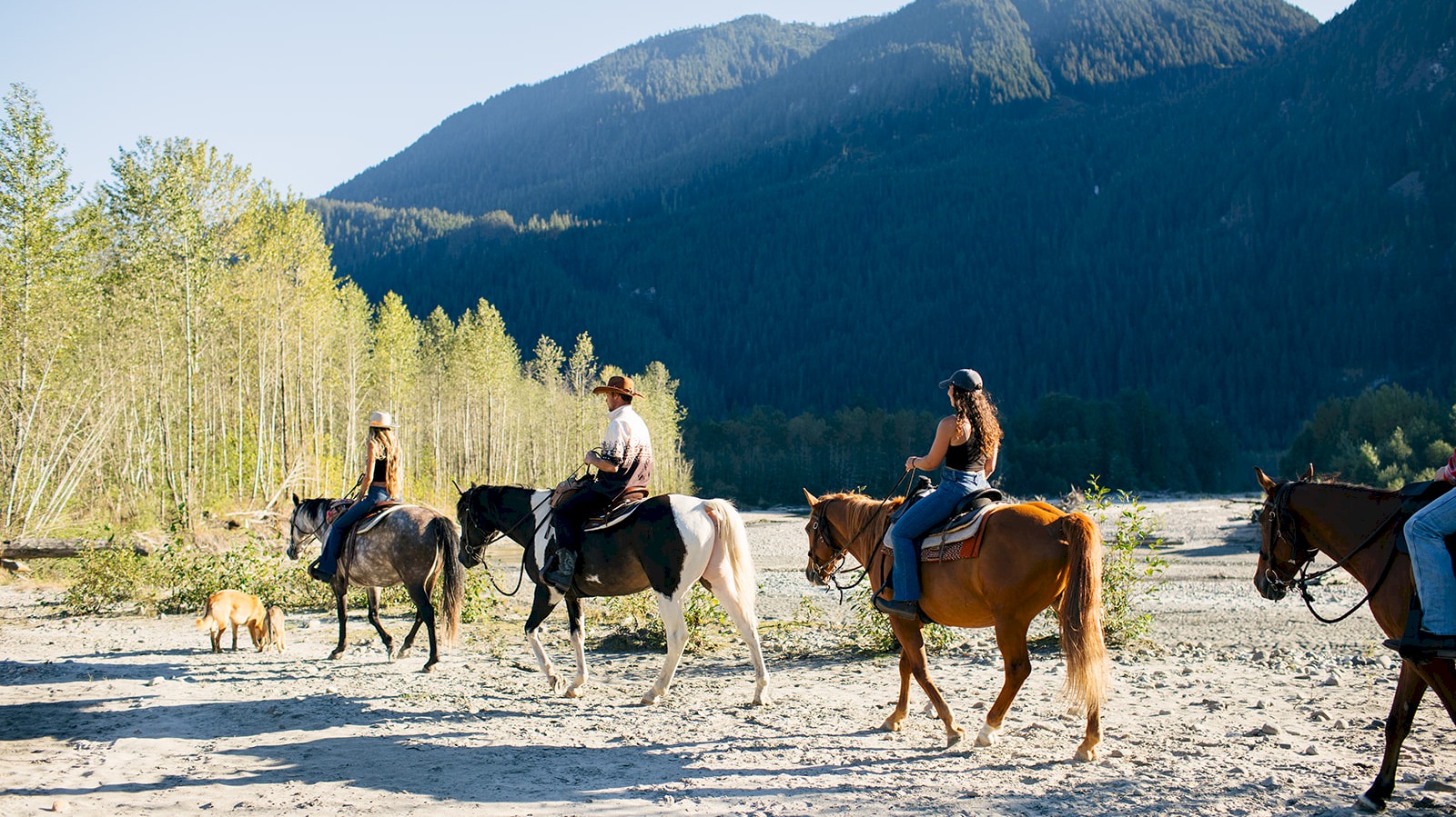 Horseback riding