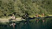 Horseback riding at the river