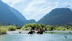 Horseback riding in the river
