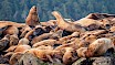 Seals