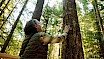 Forest Bathing