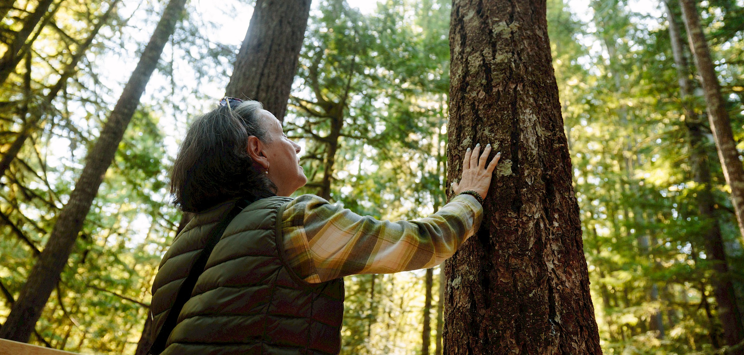 Forest Bathing