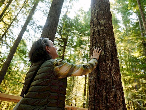 Forest Bathing