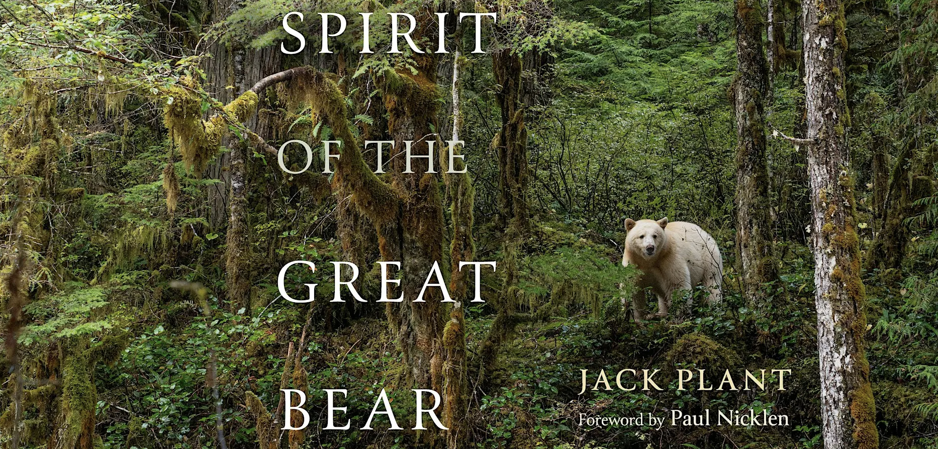 Book Signing – Spirit of the Great Bear Exhibition by Jack Plant @ The BAG