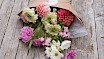 U-Pick Flower Festival