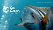 Our Ocean Film Fest