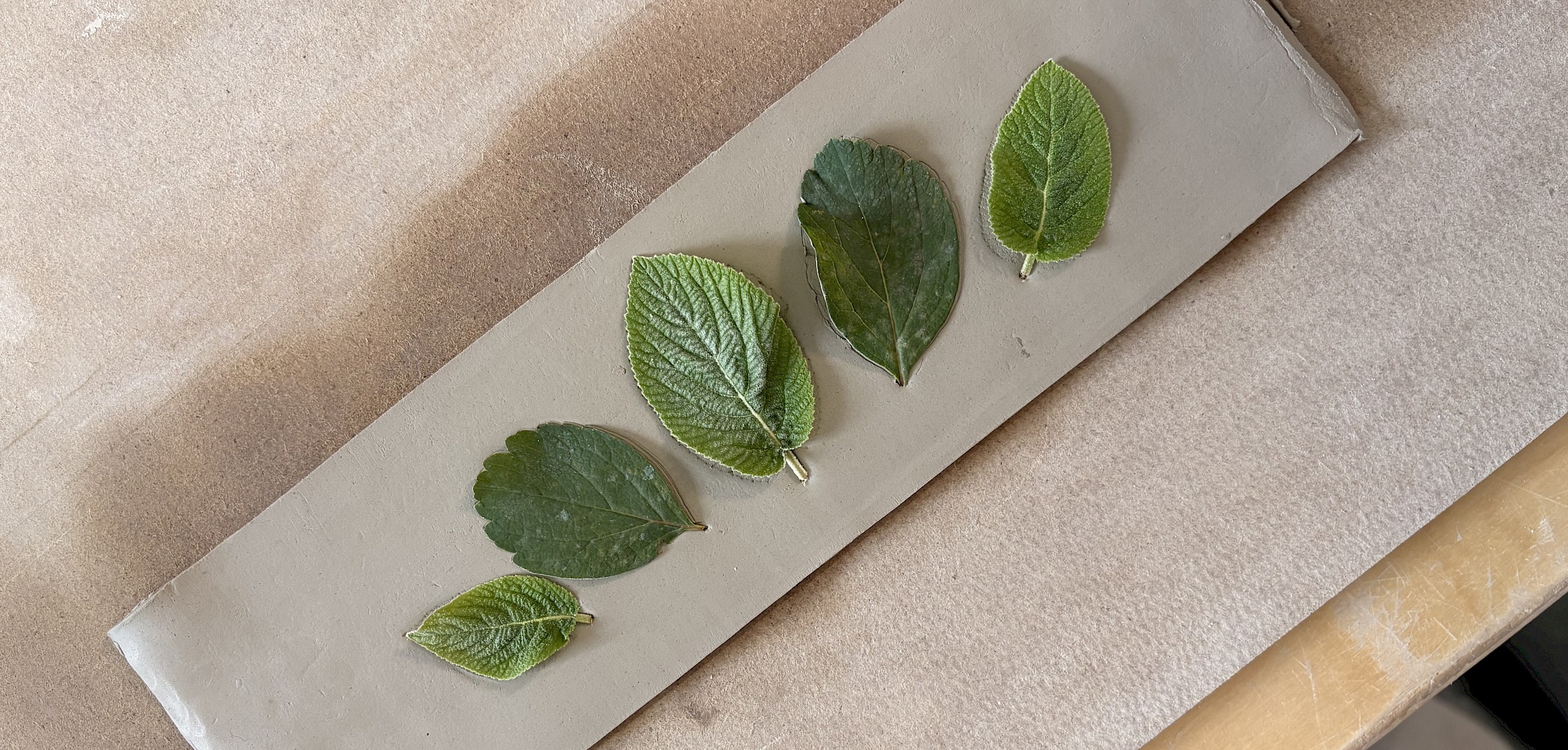 Handbuilding Intro Session: Fall Leaf Mug Edition