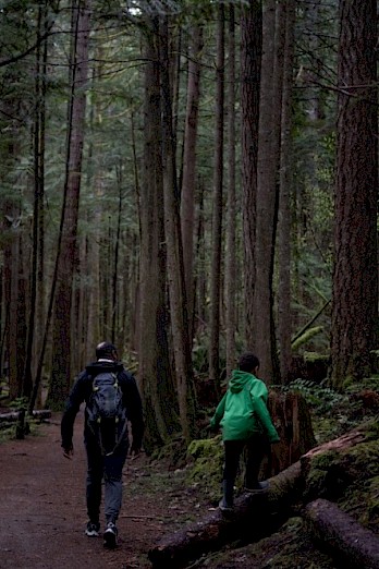 Father and son walking in the forest